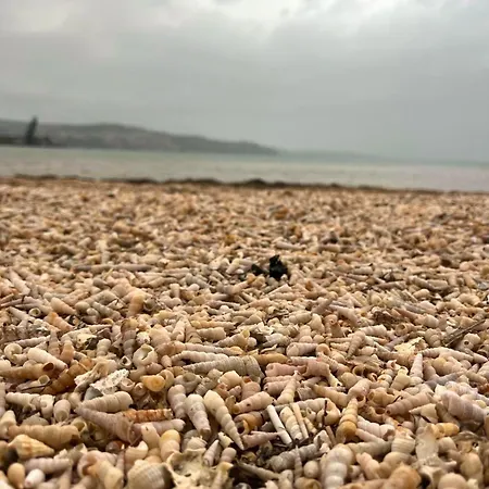 דירה Artwoodresidence אנקראן