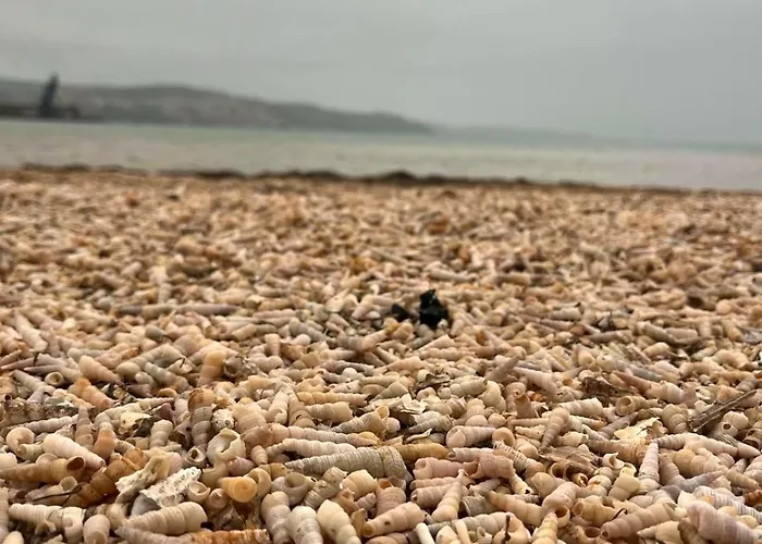 Apartment Artwoodresidence Ankaran